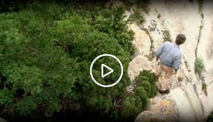 Marc Pala et la garrigue