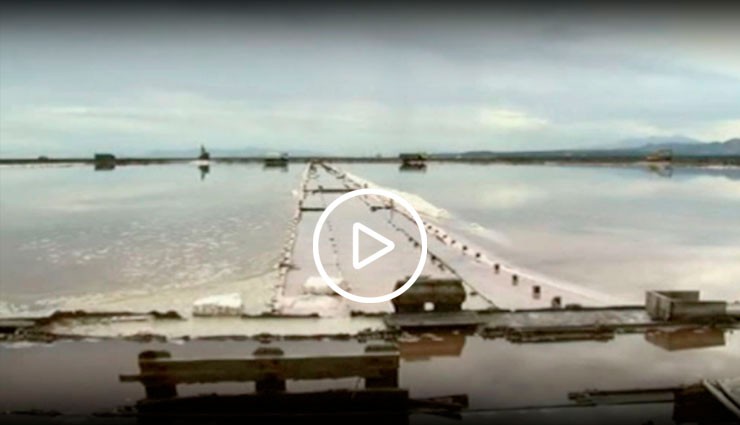 Patrice Gabanou et les salins